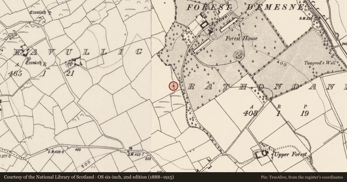 Ordnance Survey six-inch map, 2nd edition (1888–1915) covering the location of Fulacht fia, Knockavullig, County Cork, with a pin at the register's coordinates