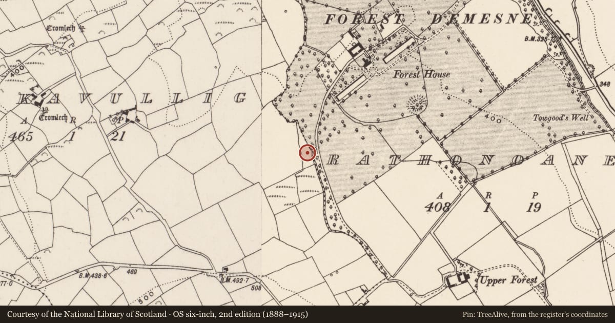 Ordnance Survey six-inch map, 2nd edition (1888–1915) covering the location of Fulacht fia, Knockavullig, County Cork, with a pin at the register's coordinates