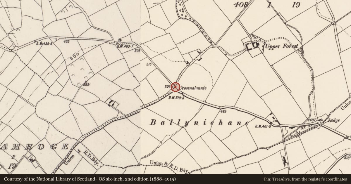 Ordnance Survey six-inch map, 2nd edition (1888–1915) covering the location of Burial ground, Rathonoane, County Cork, with a pin at the register's coordinates