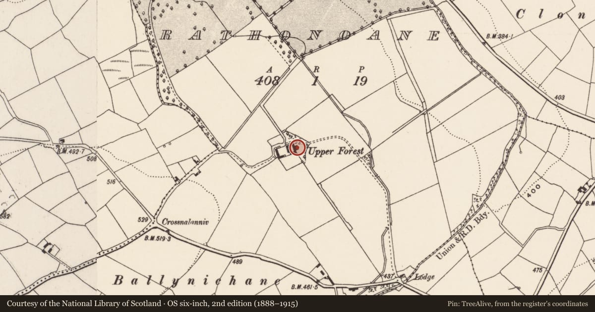 Ordnance Survey six-inch map, 2nd edition (1888–1915) covering the location of Country house, Rathonoane, County Cork, with a pin at the register's coordinates