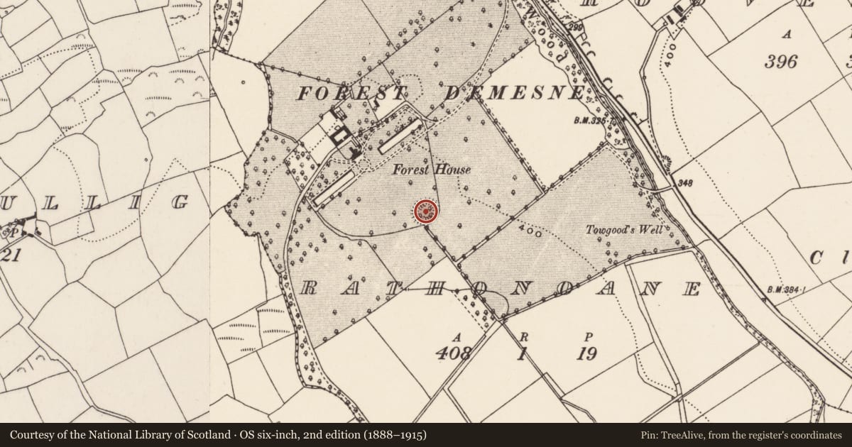 Ordnance Survey six-inch map, 2nd edition (1888–1915) covering the location of Ringfort - rath, Rathonoane, County Cork, with a pin at the register's coordinates