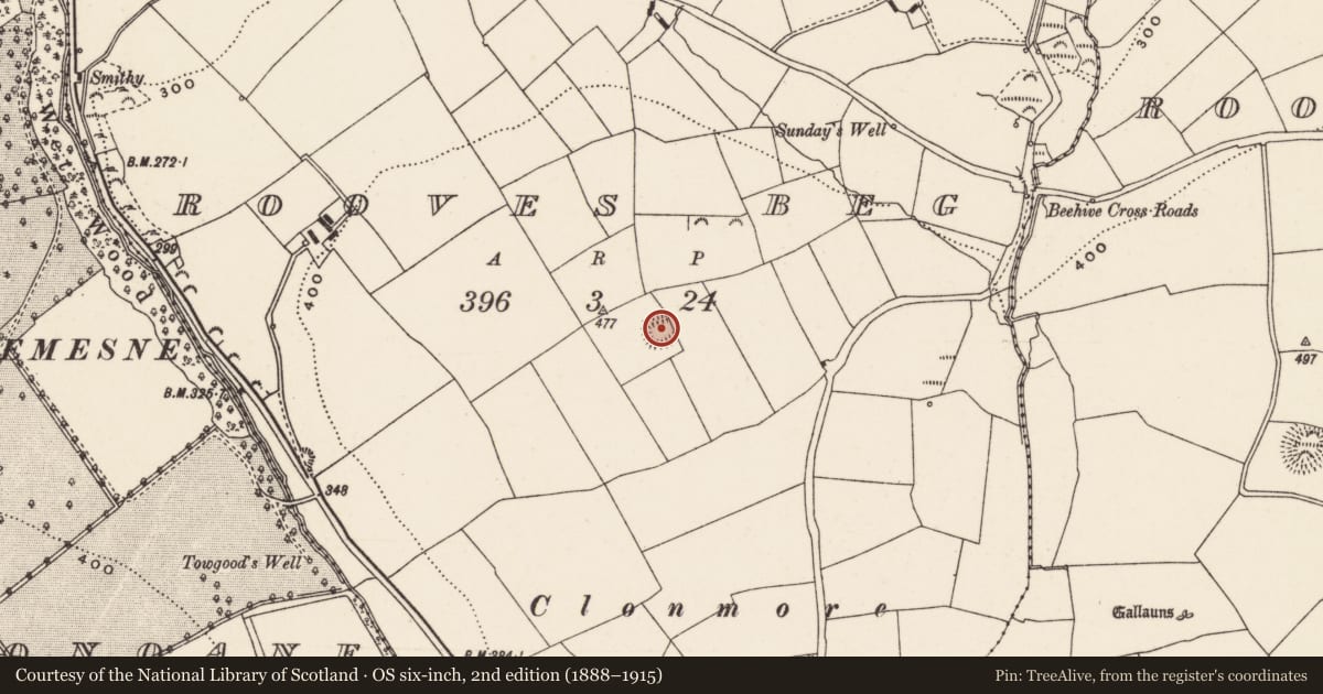 Ordnance Survey six-inch map, 2nd edition (1888–1915) covering the location of Ringfort - rath, Rooves Beg, County Cork, with a pin at the register's coordinates