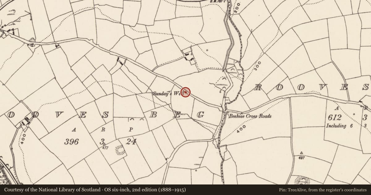 Ordnance Survey six-inch map, 2nd edition (1888–1915) covering the location of Ritual site - holy well, Rooves Beg, County Cork, with a pin at the register's coordinates