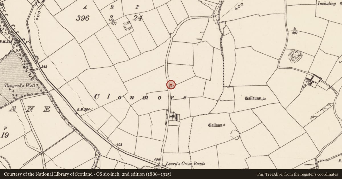 Ordnance Survey six-inch map, 2nd edition (1888–1915) covering the location of Stone row, Rooves Beg, County Cork, with a pin at the register's coordinates