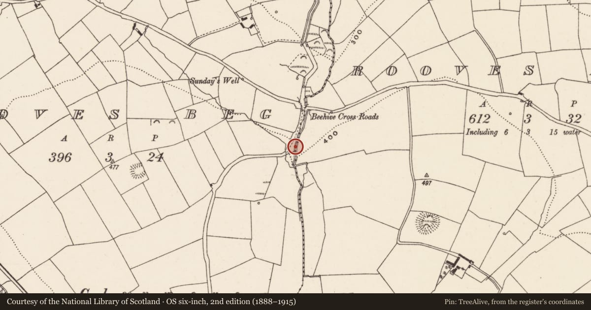 Ordnance Survey six-inch map, 2nd edition (1888–1915) covering the location of Fulacht fia, Rooves Beg, County Cork, with a pin at the register's coordinates