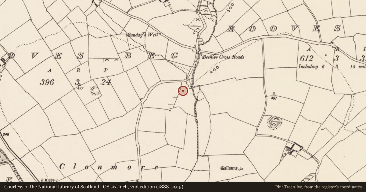 Ordnance Survey six-inch map, 2nd edition (1888–1915) covering the location of Fulacht fia, Rooves Beg, County Cork, with a pin at the register's coordinates
