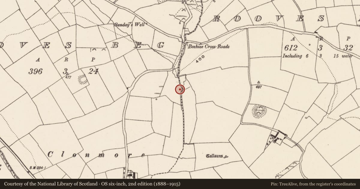 Ordnance Survey six-inch map, 2nd edition (1888–1915) covering the location of Fulacht fia, Rooves Beg, County Cork, with a pin at the register's coordinates