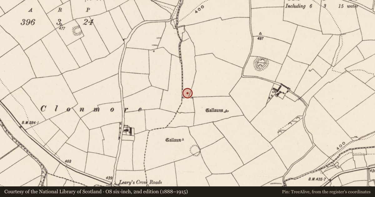 Ordnance Survey six-inch map, 2nd edition (1888–1915) covering the location of Fulacht fia, Rooves More, County Cork, with a pin at the register's coordinates