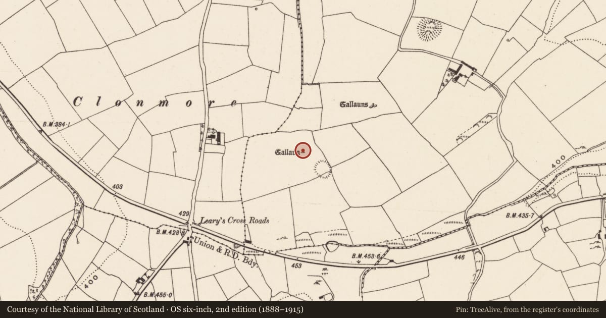 Ordnance Survey six-inch map, 2nd edition (1888–1915) covering the location of Standing stone, Rooves More, County Cork, with a pin at the register's coordinates