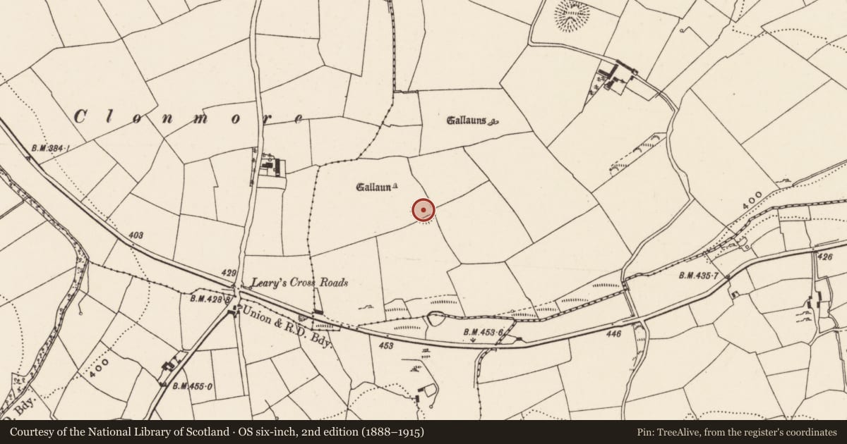 Ordnance Survey six-inch map, 2nd edition (1888–1915) covering the location of Ringfort - rath, Rooves More, County Cork, with a pin at the register's coordinates