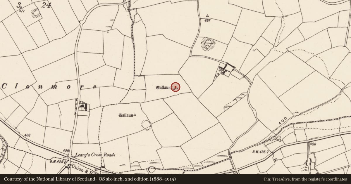 Ordnance Survey six-inch map, 2nd edition (1888–1915) covering the location of Standing stone - pair, Rooves More, County Cork, with a pin at the register's coordinates
