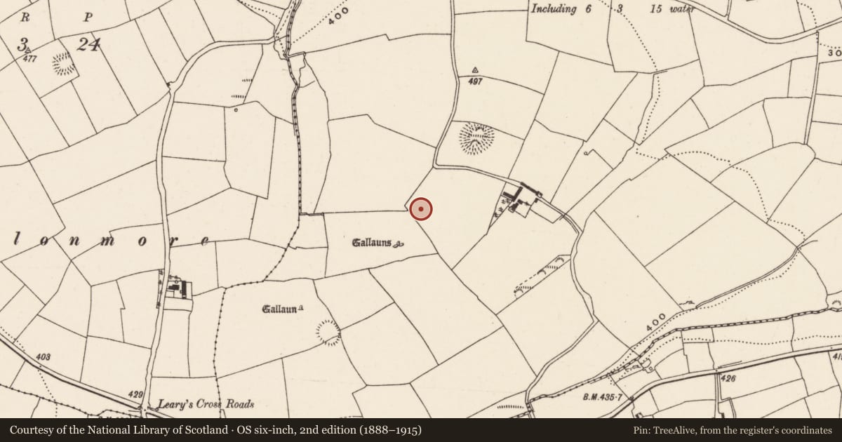 Ordnance Survey six-inch map, 2nd edition (1888–1915) covering the location of Anomalous stone group, Rooves More, County Cork, with a pin at the register's coordinates
