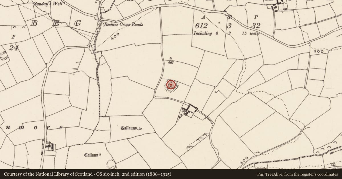 Ordnance Survey six-inch map, 2nd edition (1888–1915) covering the location of Ringfort - rath, Rooves More, County Cork, with a pin at the register's coordinates