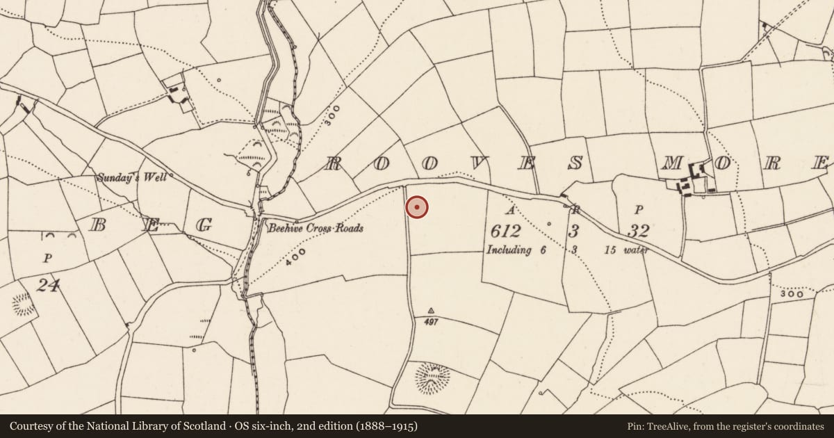 Ordnance Survey six-inch map, 2nd edition (1888–1915) covering the location of Anomalous stone group, Rooves More, County Cork, with a pin at the register's coordinates