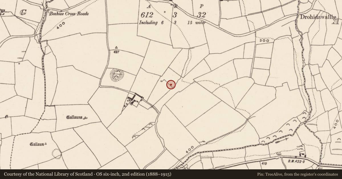 Ordnance Survey six-inch map, 2nd edition (1888–1915) covering the location of Fulacht fia, Rooves More, County Cork, with a pin at the register's coordinates