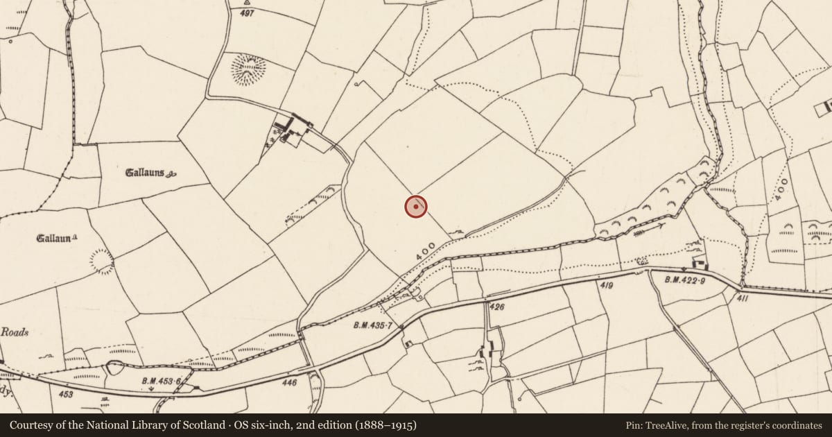 Ordnance Survey six-inch map, 2nd edition (1888–1915) covering the location of Fulacht fia, Rooves More, County Cork, with a pin at the register's coordinates