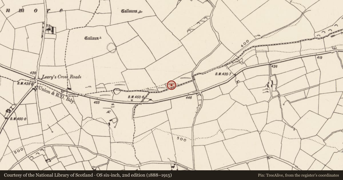 Ordnance Survey six-inch map, 2nd edition (1888–1915) covering the location of Fulacht fia, Rooves More, County Cork, with a pin at the register's coordinates