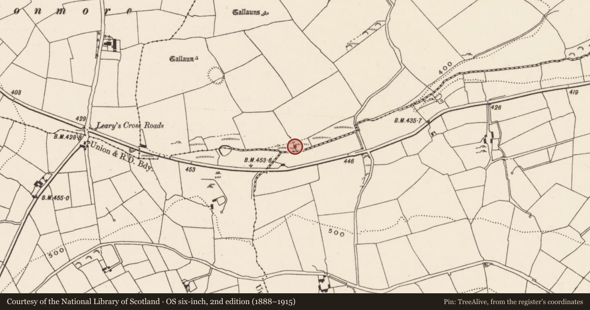 Ordnance Survey six-inch map, 2nd edition (1888–1915) covering the location of Fulacht fia, Rooves More, County Cork, with a pin at the register's coordinates