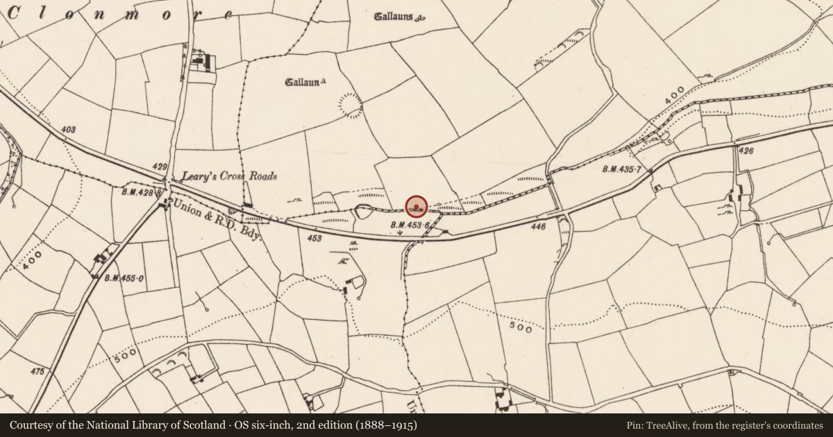 Ordnance Survey six-inch map, 2nd edition (1888–1915) covering the location of Fulacht fia, Rooves More, County Cork, with a pin at the register's coordinates