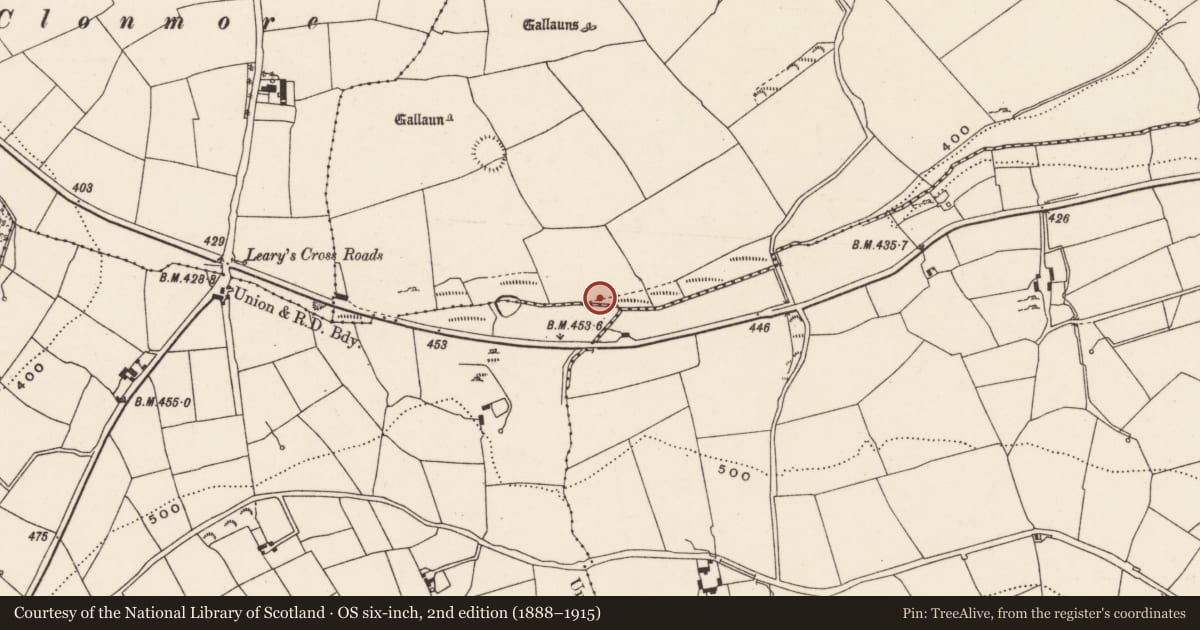 Ordnance Survey six-inch map, 2nd edition (1888–1915) covering the location of Fulacht fia, Rooves More, County Cork, with a pin at the register's coordinates