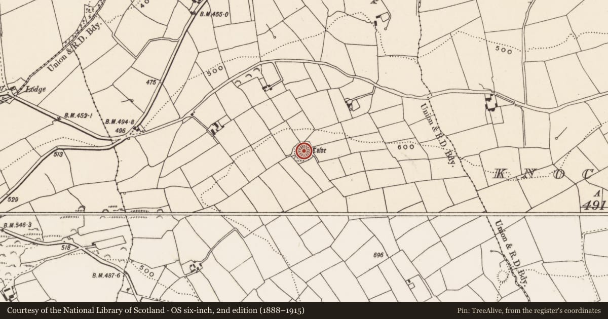 Ordnance Survey six-inch map, 2nd edition (1888–1915) covering the location of Ringfort - rath, Knockshanawee, County Cork, with a pin at the register's coordinates
