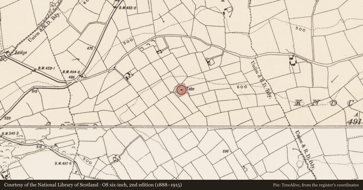 Ordnance Survey six-inch map, 2nd edition (1888–1915) covering the location of Souterrain, Knockshanawee, County Cork, with a pin at the register's coordinates