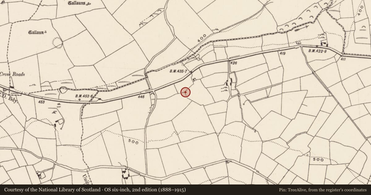 Ordnance Survey six-inch map, 2nd edition (1888–1915) covering the location of Fulacht fia, Knocknagoul, County Cork, with a pin at the register's coordinates