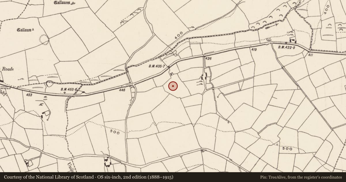 Ordnance Survey six-inch map, 2nd edition (1888–1915) covering the location of Souterrain, Knocknagoul, County Cork, with a pin at the register's coordinates