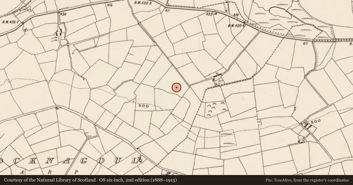 Ordnance Survey six-inch map, 2nd edition (1888–1915) covering the location of Fulacht fia, Knocknagoul, County Cork, with a pin at the register's coordinates