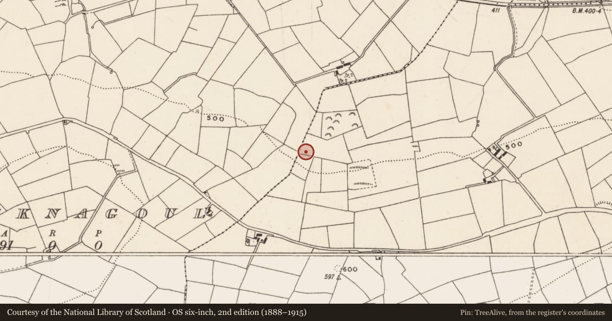 Ordnance Survey six-inch map, 2nd edition (1888–1915) covering the location of Fulacht fia, Currahaly, County Cork, with a pin at the register's coordinates