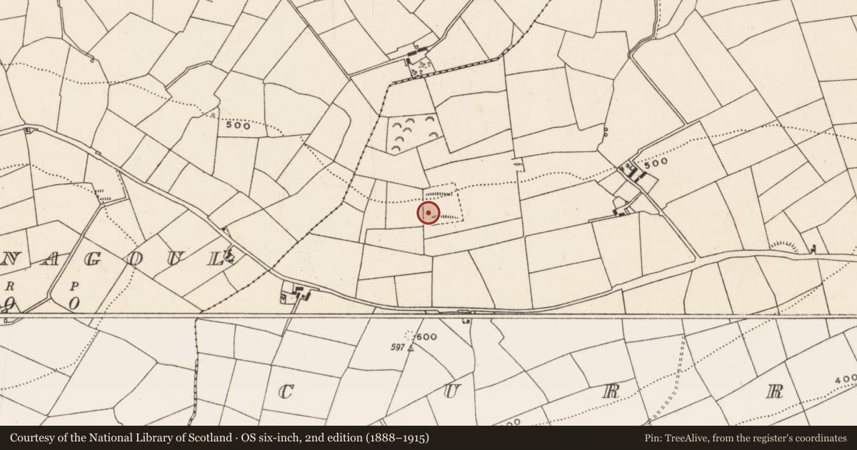 Ordnance Survey six-inch map, 2nd edition (1888–1915) covering the location of Fulacht fia, Currahaly, County Cork, with a pin at the register's coordinates