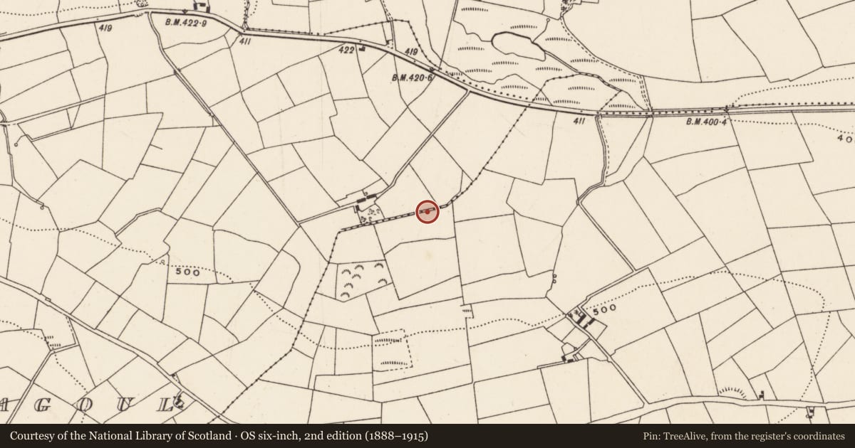 Ordnance Survey six-inch map, 2nd edition (1888–1915) covering the location of Fulacht fia, Currahaly, County Cork, with a pin at the register's coordinates