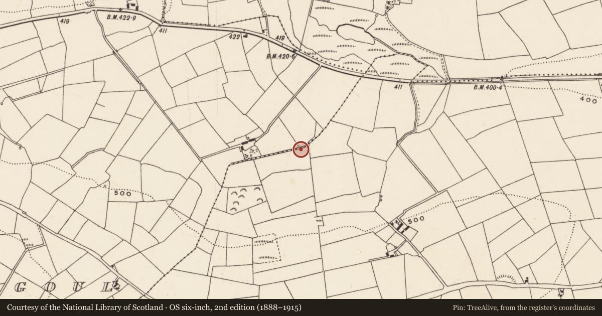 Ordnance Survey six-inch map, 2nd edition (1888–1915) covering the location of Fulacht fia, Currahaly, County Cork, with a pin at the register's coordinates