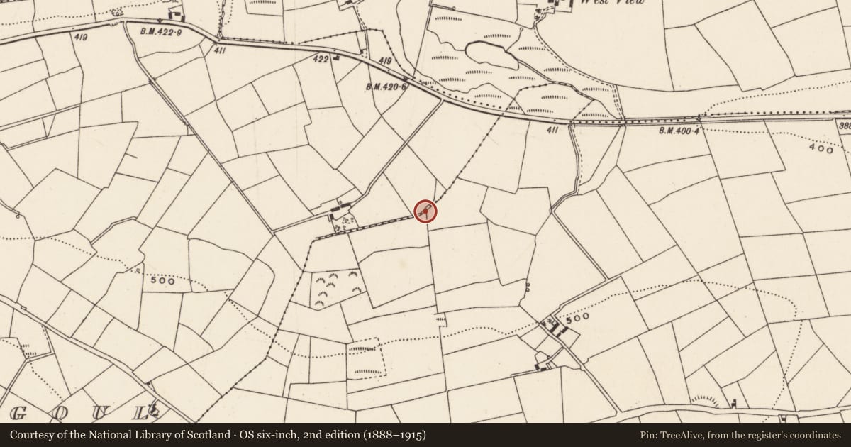 Ordnance Survey six-inch map, 2nd edition (1888–1915) covering the location of Fulacht fia, Currahaly, County Cork, with a pin at the register's coordinates