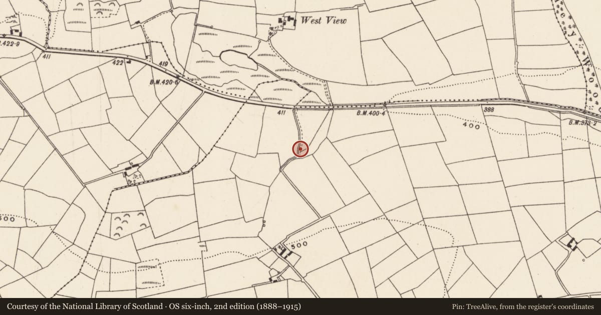 Ordnance Survey six-inch map, 2nd edition (1888–1915) covering the location of Fulacht fia, Currahaly, County Cork, with a pin at the register's coordinates