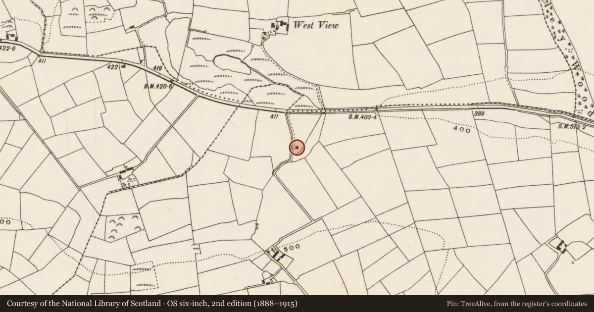 Ordnance Survey six-inch map, 2nd edition (1888–1915) covering the location of Fulacht fia, Currahaly, County Cork, with a pin at the register's coordinates