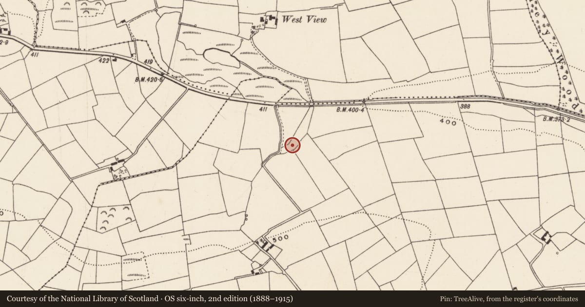Ordnance Survey six-inch map, 2nd edition (1888–1915) covering the location of Fulacht fia, Currahaly, County Cork, with a pin at the register's coordinates