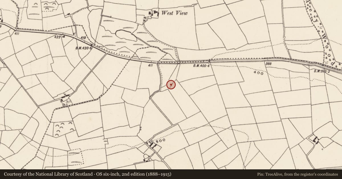 Ordnance Survey six-inch map, 2nd edition (1888–1915) covering the location of Fulacht fia, Currahaly, County Cork, with a pin at the register's coordinates