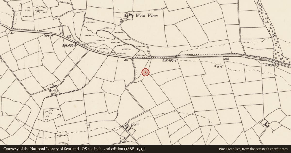 Ordnance Survey six-inch map, 2nd edition (1888–1915) covering the location of Fulacht fia, Currahaly, County Cork, with a pin at the register's coordinates