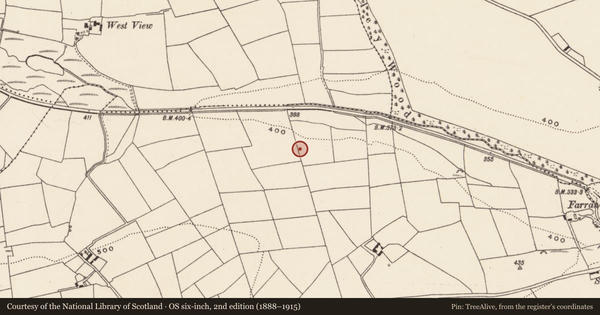 Ordnance Survey six-inch map, 2nd edition (1888–1915) covering the location of Fulacht fia, Currahaly, County Cork, with a pin at the register's coordinates