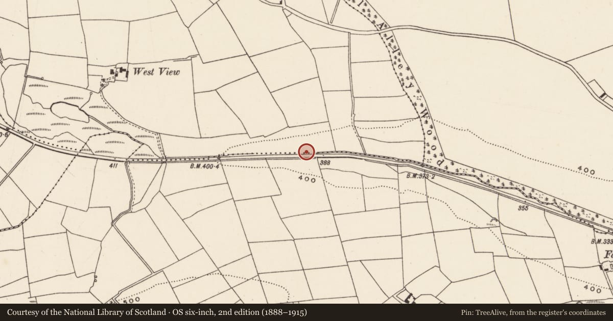 Ordnance Survey six-inch map, 2nd edition (1888–1915) covering the location of Fulacht fia, Aglish, County Cork, with a pin at the register's coordinates