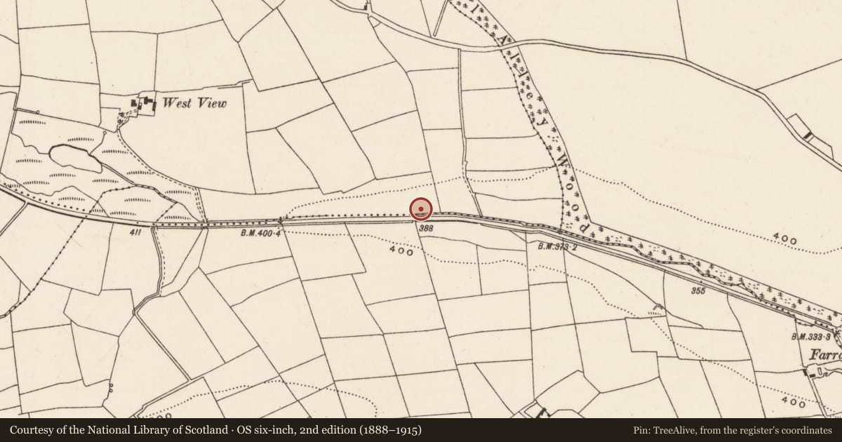 Ordnance Survey six-inch map, 2nd edition (1888–1915) covering the location of Fulacht fia, Aglish, County Cork, with a pin at the register's coordinates