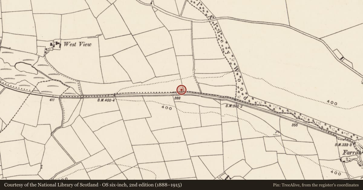 Ordnance Survey six-inch map, 2nd edition (1888–1915) covering the location of Fulacht fia, Aglish, County Cork, with a pin at the register's coordinates