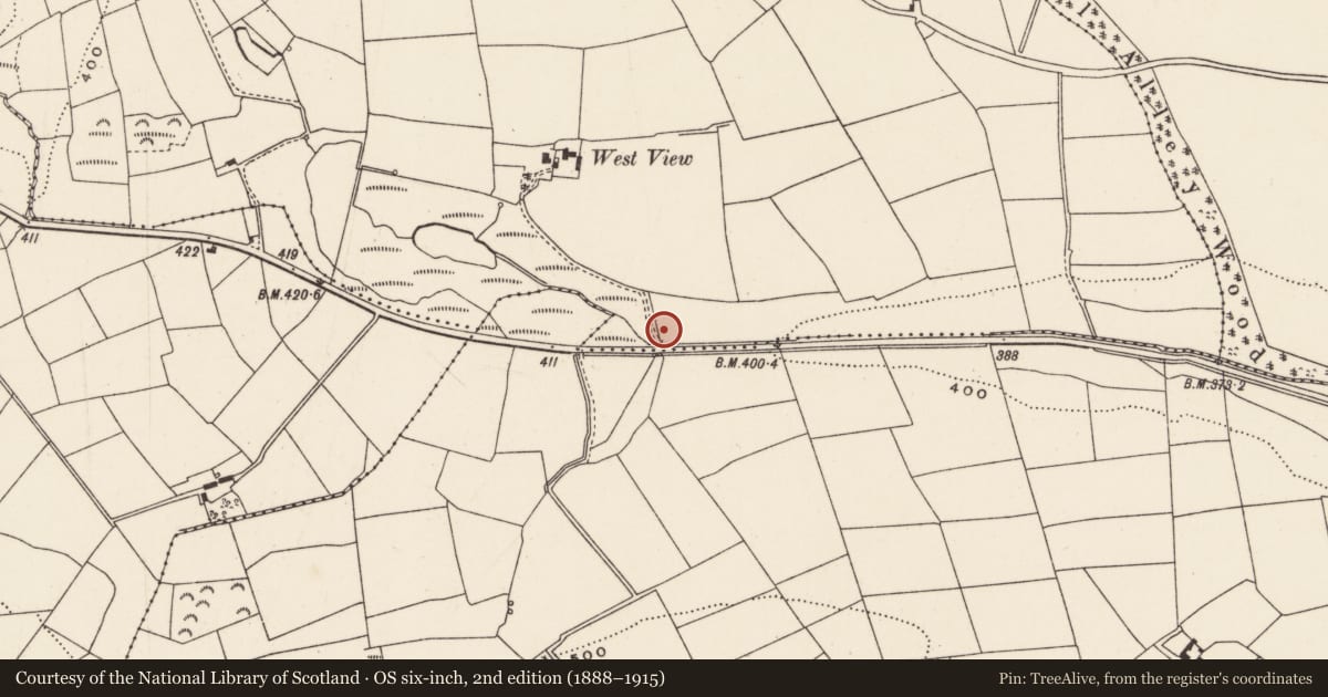 Ordnance Survey six-inch map, 2nd edition (1888–1915) covering the location of Fulacht fia, Aglish, County Cork, with a pin at the register's coordinates