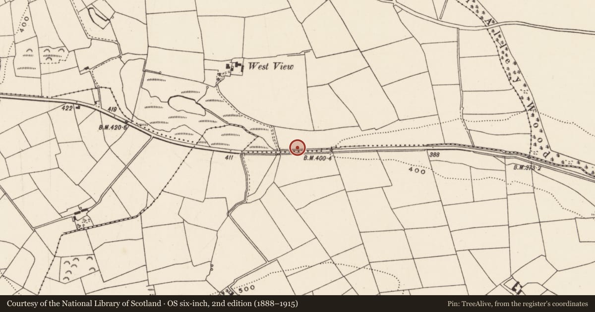 Ordnance Survey six-inch map, 2nd edition (1888–1915) covering the location of Fulacht fia, Aglish, County Cork, with a pin at the register's coordinates