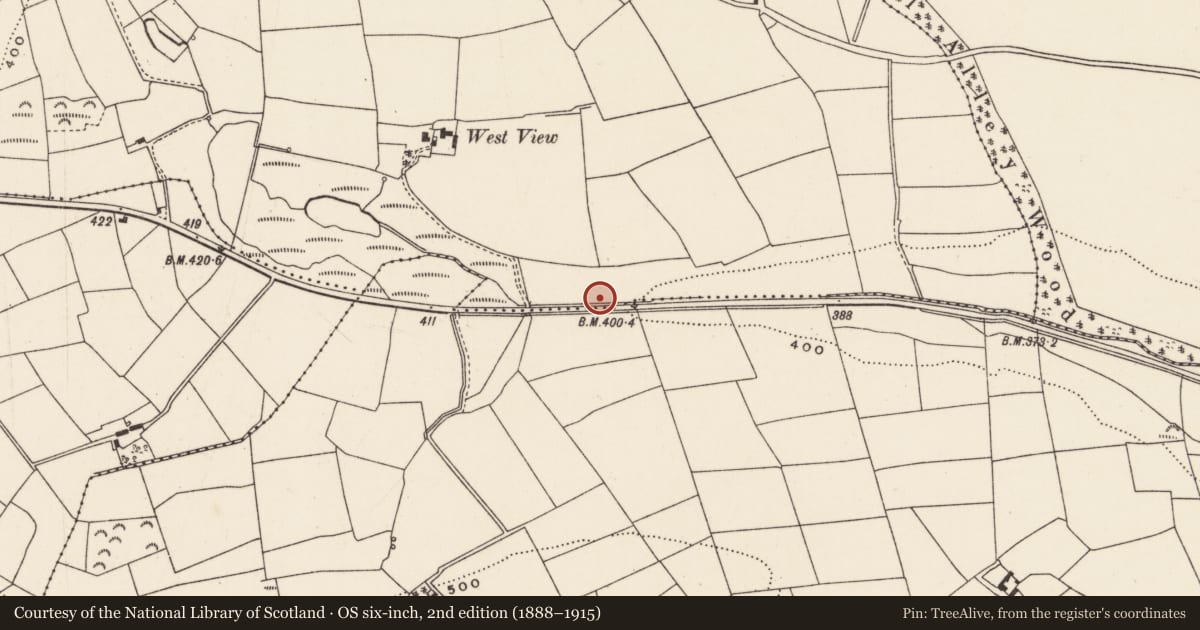 Ordnance Survey six-inch map, 2nd edition (1888–1915) covering the location of Fulacht fia, Aglish, County Cork, with a pin at the register's coordinates