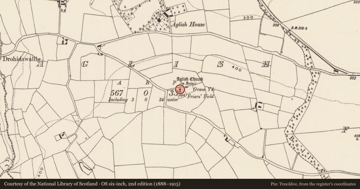 Ordnance Survey six-inch map, 2nd edition (1888–1915) covering the location of Ecclesiastical enclosure, Aglish, County Cork, with a pin at the register's coordinates