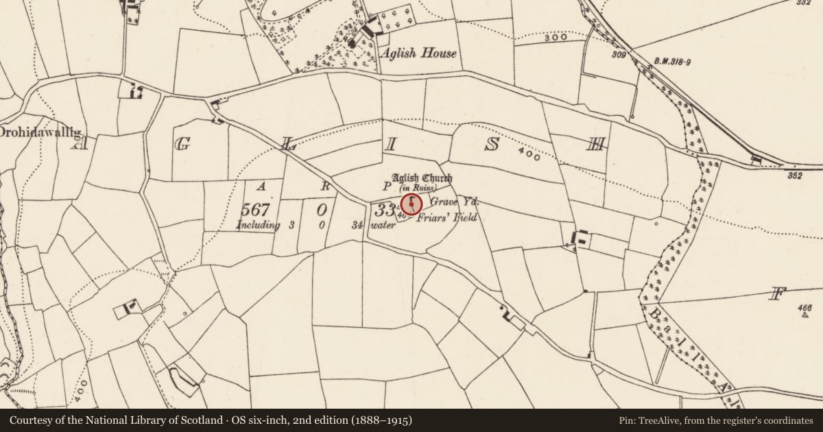 Ordnance Survey six-inch map, 2nd edition (1888–1915) covering the location of Graveyard, Aglish, County Cork, with a pin at the register's coordinates