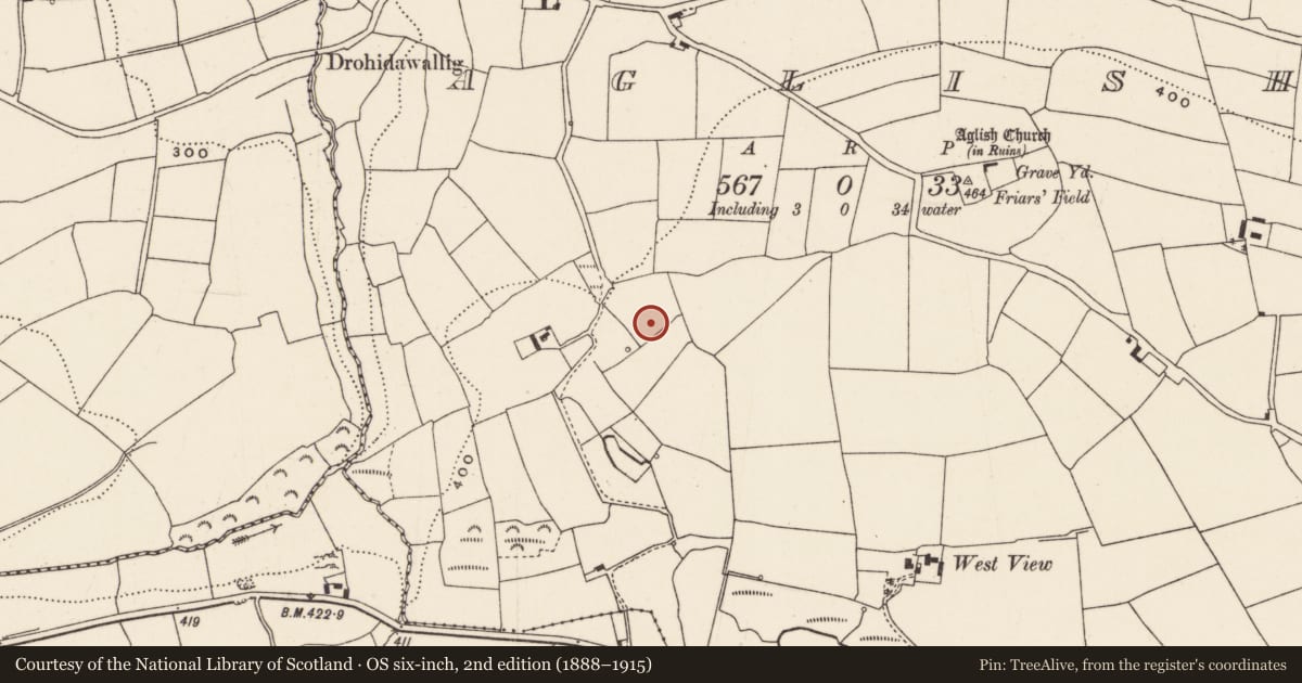 Ordnance Survey six-inch map, 2nd edition (1888–1915) covering the location of Fulacht fia, Aglish, County Cork, with a pin at the register's coordinates