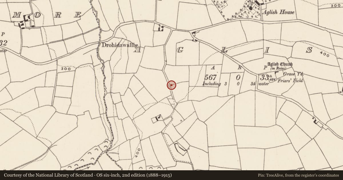 Ordnance Survey six-inch map, 2nd edition (1888–1915) covering the location of Fulacht fia, Aglish, County Cork, with a pin at the register's coordinates